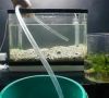 Смена воды в аквариуме